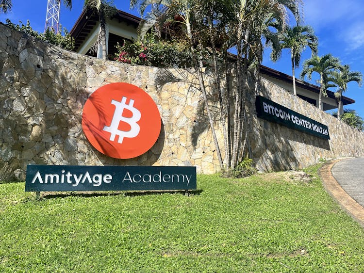 Image 1 of Amity Age Academy